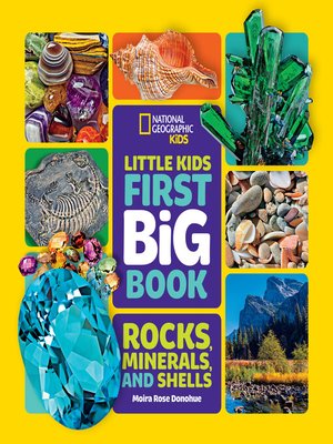 cover image of Little Kids First Big Book of Rocks, Minerals & Shells